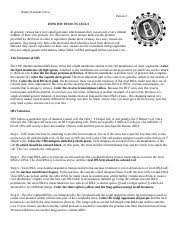 Human immunodeficiency virus (hiv) presents a complex knot for scientists to unravel. J Short Splice Viral Rna Yellow K Golgi Apparatus Purple M Viral Proteins Brown Course Hero