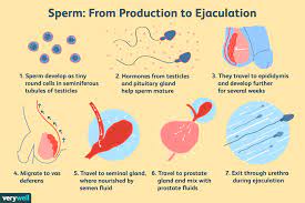 What Does Healthy Semen Taste, Smell, and Look Like?