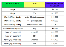 a beginners guide to taxes do i have to file a tax return