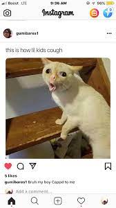 Pin By Leann Mabey On Funny Shvt Funny Baby Memes Funny Cat Memes Funny Baby Quotes