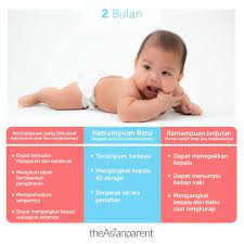 Setiap bulan, bayi akan menunjukkan perkembangan baru yang mendukung kemampuannya kelak. Perkembangan Bayi 2 Bulan Panduan Lengkap Milestone Untuk Orangtua Theasianparent Indonesia