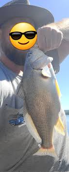 What type of fish is this?