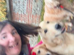 Going for a walk with my loving Stitch