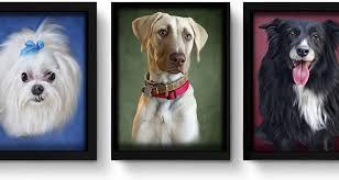 Buy it now for a free gift. Pet Portraits Mypoochface