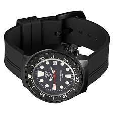 Image result for diving watch