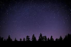 We did not find results for: Bintang Galaksi Ruang Alam Semesta Malam Gelap Langit Bayangan Hitam Ungu Pohon Hutan Pikist