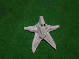 Star Fish Towel Creation Towel Animals Fish Towel How To Fold Towels