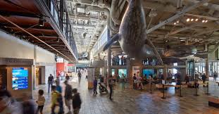 The monterey bay aquarium contributes to the research and conservation of the monterey bay national marine sanctuary, stretching 276 miles from san francisco to the big sur. Monterey Bay Aquarium Project Ehdd Architects Sf