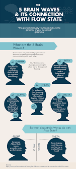 The 5 Brain Waves And Its Connection With Flow State Brain Facts Brain Waves Neuroscience