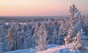 Small, but fastly developing ski resot nearby rovaniemi, the capital of lapland region. Photo Ounasvaara Mountain In Rovaniemi In Lapland Finland