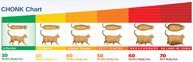 Chonk Chart In Hd Imgur