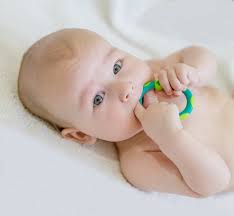 Vermutlich feiern sie den ersten zahn und machen viele fotos. Wann Bekommen Babys Zahne Veilchenwurzel Net