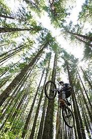 Head straight to the bikes page and find your perfect partner. Mountain Biking Wikipedia