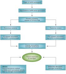 Image result for Precocious Puberty