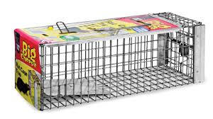 Whatever your needs, do my own pest control has the expert mouse killer equipment with the best mouse traps and products to quickly rid yourself of any mouse problem, big or small. Rat Cage Trap Humane Rat Trap From The Big Cheese Youtube