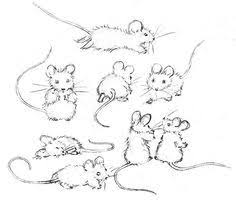 Mouse Poses For Drawing Mouse Illustration Animal Drawings Mouse Drawing