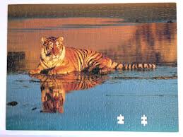 Maybe you would like to learn more about one of these? Tiger Jigsaw Puzzles