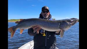 We have a premier lodge and modern outposts with trophy fishing for walleye and northern pike. Phenomenal Fly In Fishing Action At Jackson S Lodge Outposts Manitoba Hot Bite Youtube
