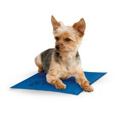Simply put, pet insurance helps you cover the cost of vet bills, so you can rest assured that your dog will receive the best possible care. K H Cooling Pad For Dogs 11 L X 15 W Petco Pet Pads Pets Cat Illnesses