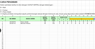 Rincian jelas mengenai pengisian raport paud contoh narasi laporan perkembangan anak tk semester 2. Aplikasi Raport Tk Paud Usia 3 4 Tahun Revisi 2018 Administrasi Tk Paud