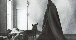 Watch popular content from the following creators: Joseph Beuys I Like America America Likes Me Fluxus Art Performance Art Conceptual Art
