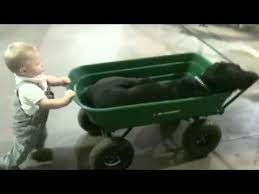 We did not find results for: Download He Ain T Heavy Hes My Brother Ringtone Mp3 Mp4 Full Datadisk Audio Music