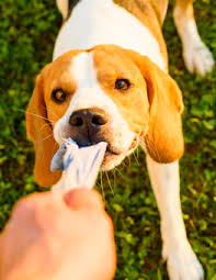 Hartz Dura Play Bone Small Hartz