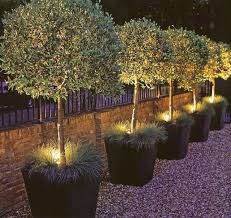 Landscape Lighting In Planters Love This Garden Lighting Design Backyard Landscaping Outdoor Gardens