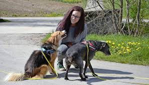 Anouk news, gossip, photos of anouk, biography, anouk boyfriend list 2016. Bewegte Pfoten Macht Den Hunden Beine Schaffhauser Nachrichten