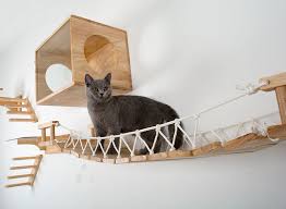 Cat Wall Mount Wood Ladder Cat Scratcher Post Tree Kitten Climbing Bridge Lounge Pet Cat Bed Cat Furniture Jumping Platform W201 Aliexpress In 2020 Cat Scratcher Post Diy Cat Scratcher Cat Bed