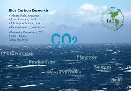 iai inter american institute for