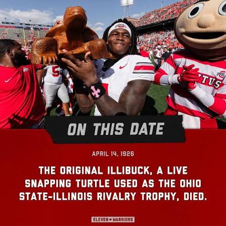 100 years ago today, the original Illibuck died   https://www.elevenwarriors.com/ohio-state-football/remember-when/2025/07/156818/remember-when-ohio-state-avenged-the-death-of- illibuck-in-champaign-by-beating-illinois-in-1926