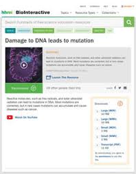 I am using grepl to do this, since it is faster than matchpattern in the instance i am using it. Point Mutation Lesson Plans Worksheets Reviewed By Teachers