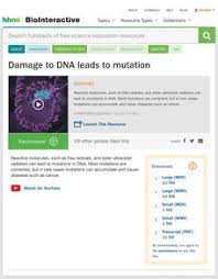 X and y linked traits. Mutations Lesson Plans Worksheets Lesson Planet