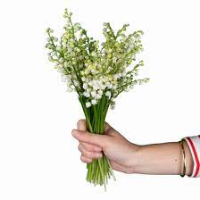 Le 1er mai 1561, le roi charles ix reçut un bouquet de muguet. Vente De Kit Muguet Economique Achat Muguet En Gros A Petit Prix