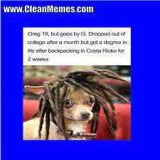 Clean animal memes just fun stuff, 32 myfitnesspal com. April 2018 Clean Memes