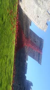 Lorraine parry (@parrylorraine1)