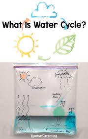 Water Cycle Science Experiments Kids Science Projects Kindergarten Science
