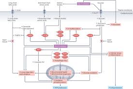 Image result for SGLT2 Inhibitor