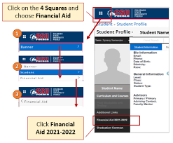 Check spelling or type a new query. Https Www Csupueblo Edu Student Financial Services Doc New Paws Navigation For Financial Aid Pdf