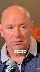 James Stonier's Instagram, Twitter & Facebook