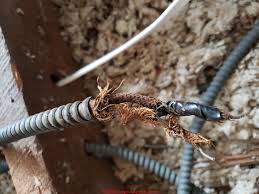 You do not want the wire to act as a fuse and burn should a short circuit occur. Old House Wiring Inspection Repair Electrical Grounding Knob Tube Electrical Wiring In Older Buildings