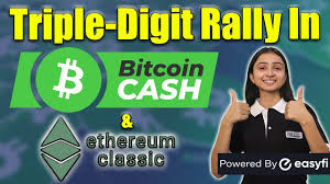 Blockchain size (ethereum classic database size). Ethereum Classic Etc Bitcoin Cash Bch See Triple Digit Rallies Youtube