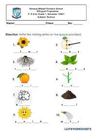 science 1 exercise