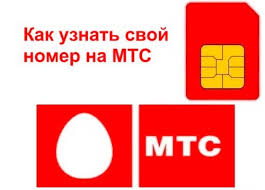Kak Uznat Svoj Nomer Mts V Belarusi Raznymi Sposobami Mts Lichnyj Kabinet