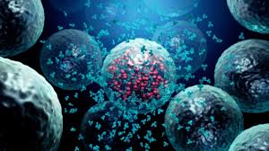 Immunologe Zu Corona Impfung Jahrliche Auffrischung Wie Bei Der Grippe Notig Archiv
