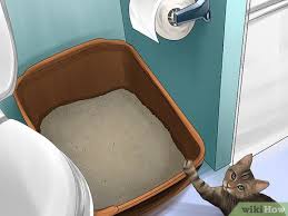 You will also need a lot of toilet paper rolls, a glue gun and a shoe box. 3 Ways To Prevent Your Cat From Unrolling Toilet Paper Wikihow