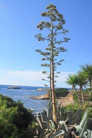 Familienurlaub Im Agriturismo Reisetipp Sardinien Familienurlaub Familien Urlaub Sardinien