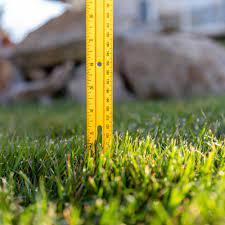 Taller grass has more leaf blade which is crucial for a healthy, resilient lawn. How High Should Grass Be Cut The Exact Measurement