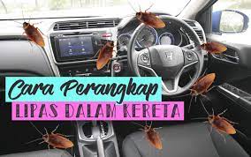 Cara perangkap lipas dalam kereta. Cara Perangkap Lipas Dalam Kereta Nikkhazami Com